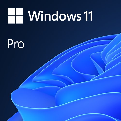 Microsoft Windows 11 Professional 64-bit, OEM DVD, Single Copy - X-Case UK T/A ROG
