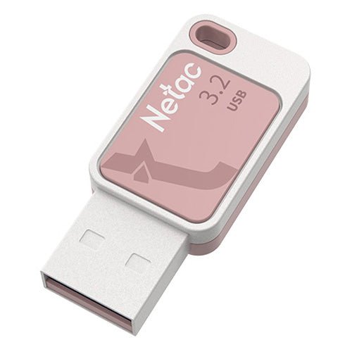 Netac 256GB USB 3.2 Memory Pen, UA31, Software Encryption, Key Ring, Smoothies Pink - X-Case UK T/A ROG